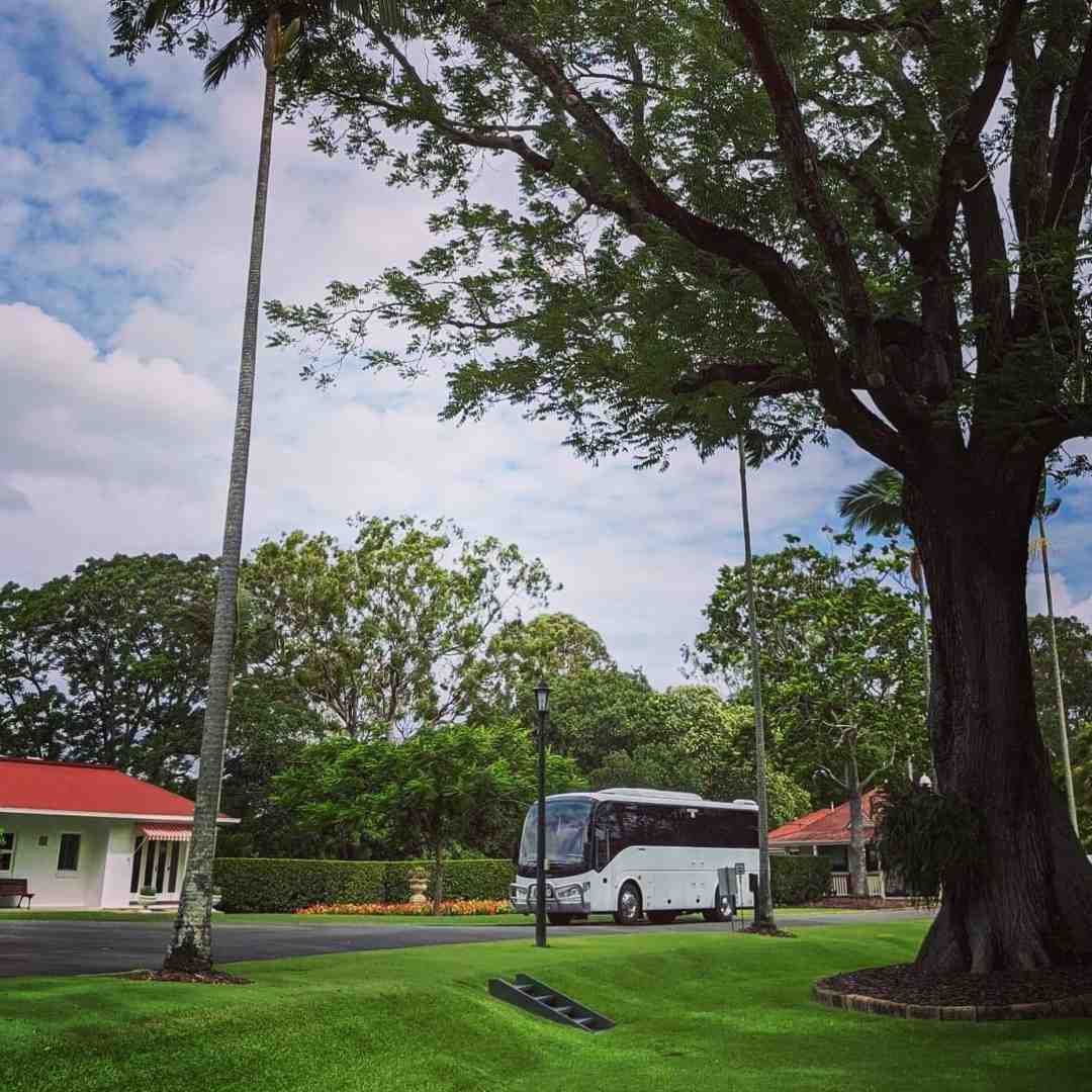 bus - bus hire for corporate events
