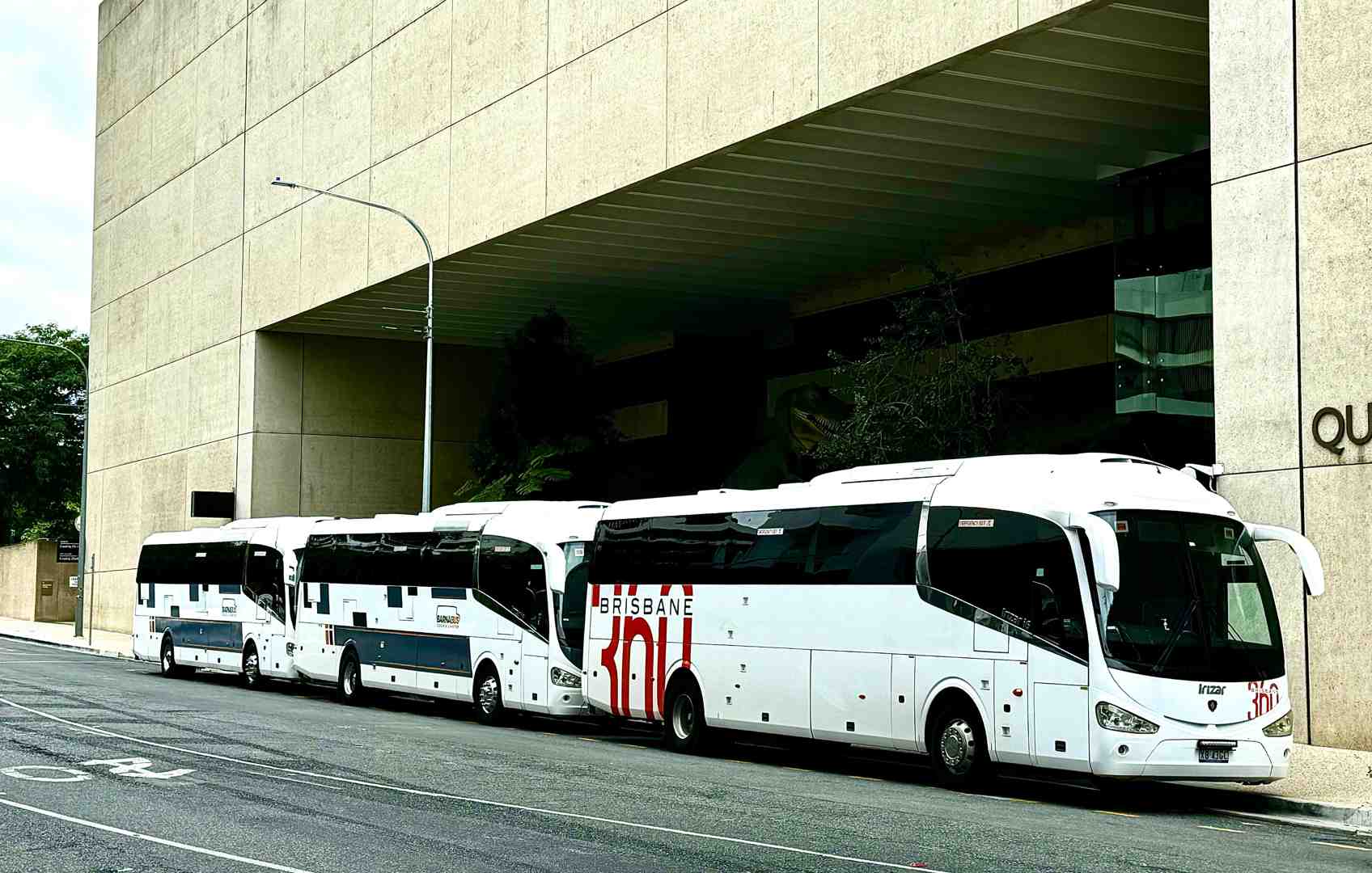 Brisbane360 fleet of modern, comfortable private tour buses parked in a row, ready for a Gold Coast sightseeing tour.