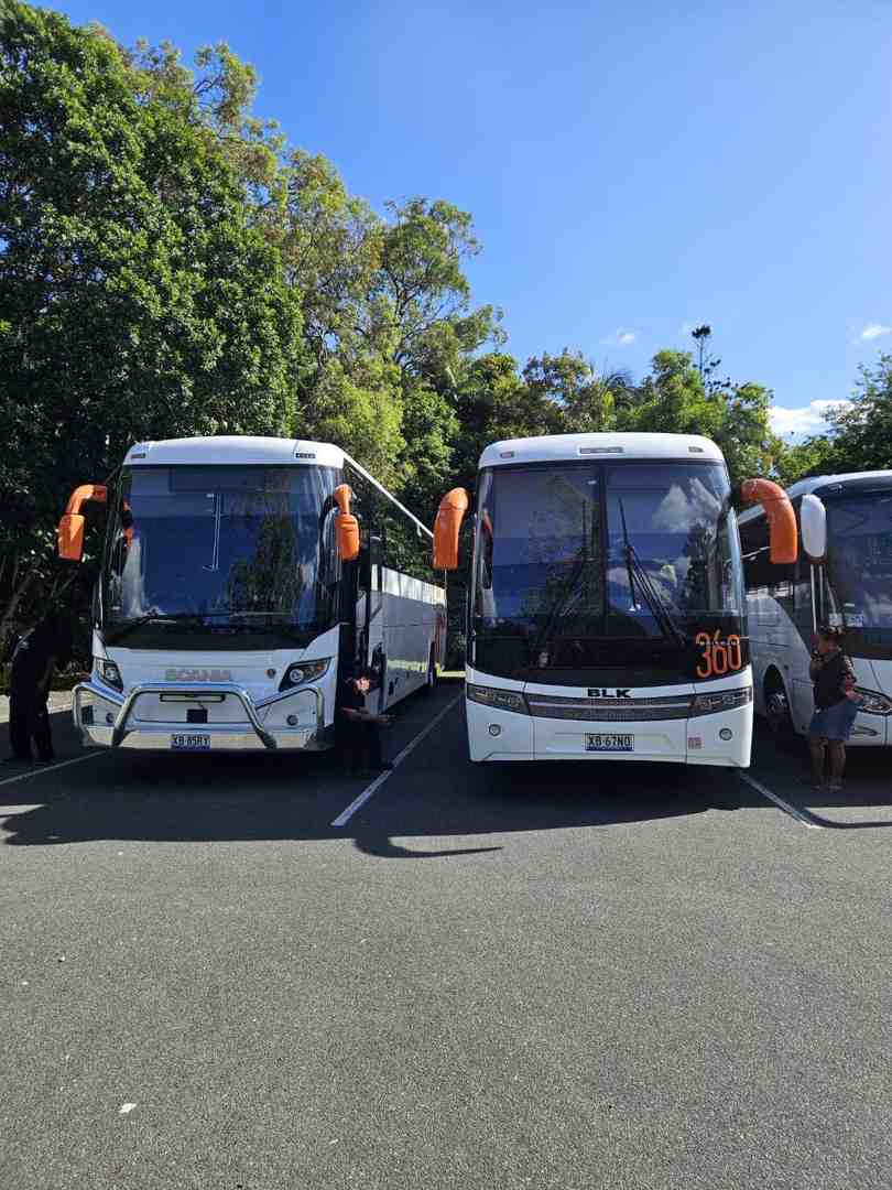 White coach buses for corporate group transport in Brisbane.
