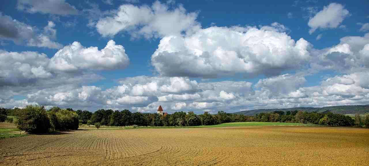 land