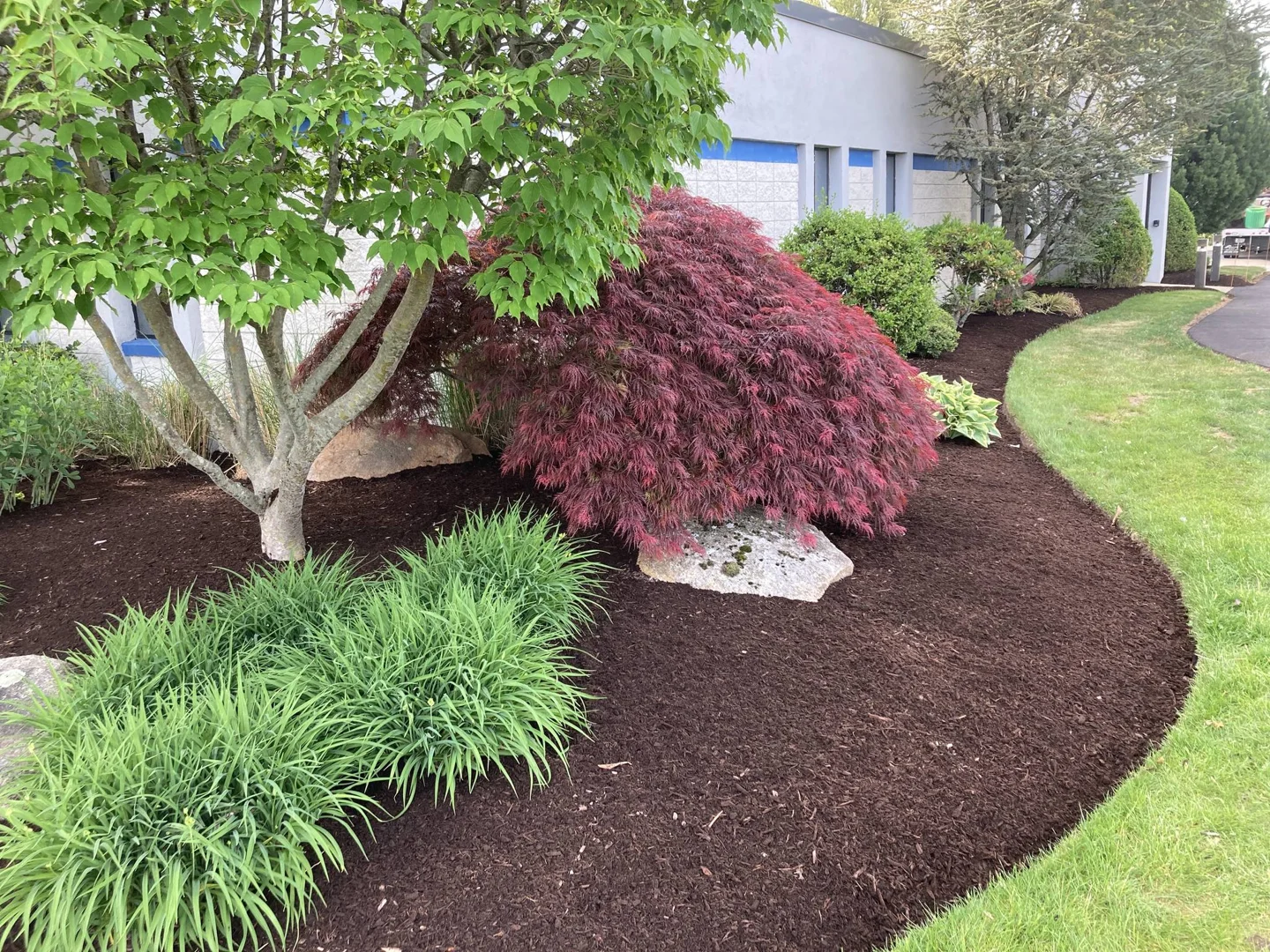 mulch installation