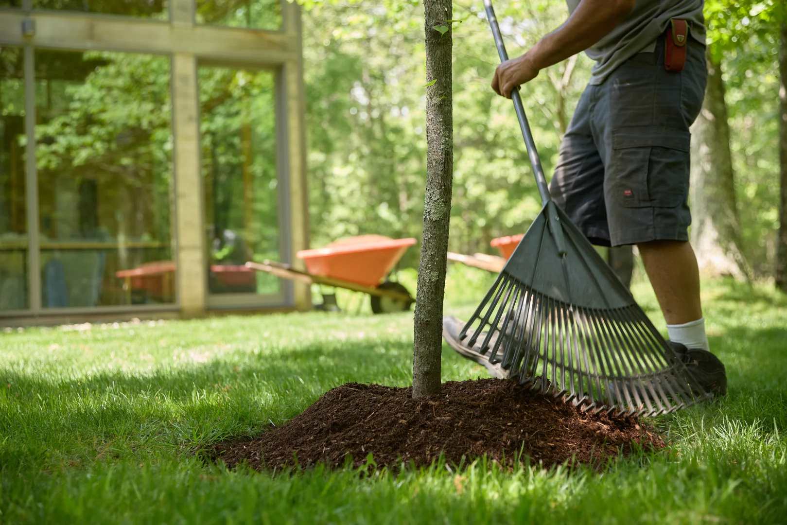landscaper spreading mulch in a garden bed