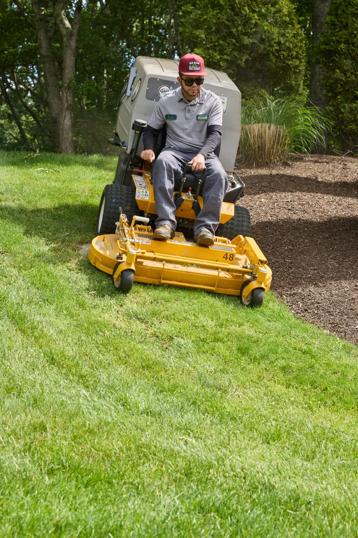 local lawn care coventry