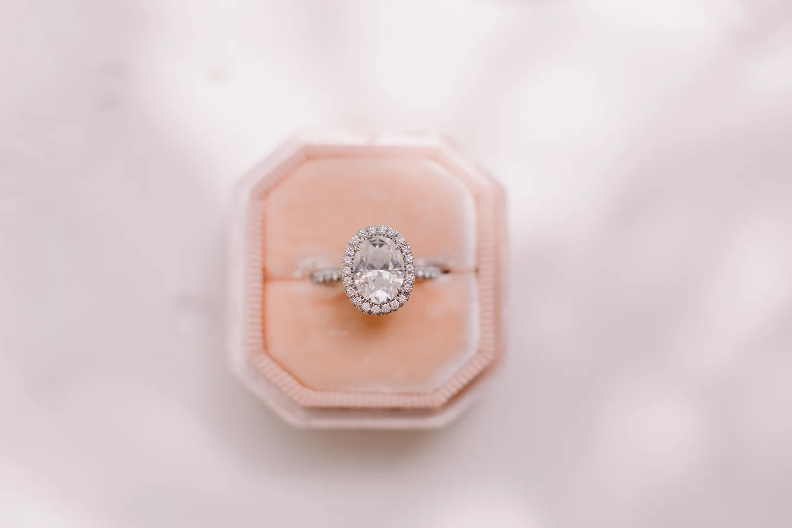 An oval diamond halo engagement ring in a coral pink velvet ring box on a pale pink background.