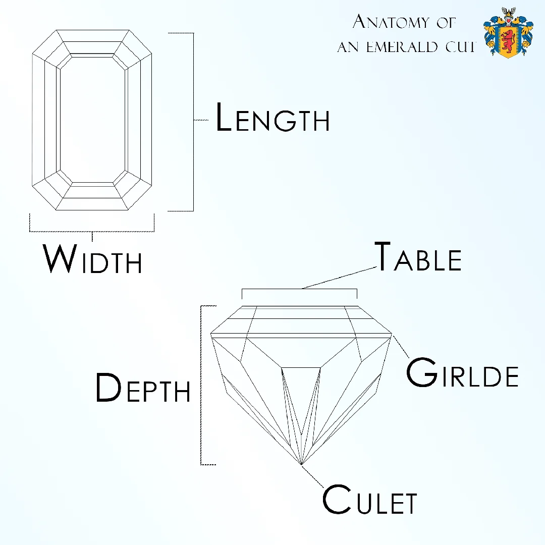 user-inserted An infographic showing the anatomy of an emerald-cut stone on a gradient light blue and white background with a Nelson Coleman Jewelers logo.