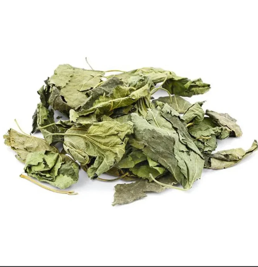 Aquatees Dried Mulberry Leaves for aquarium fish dietary supplements.