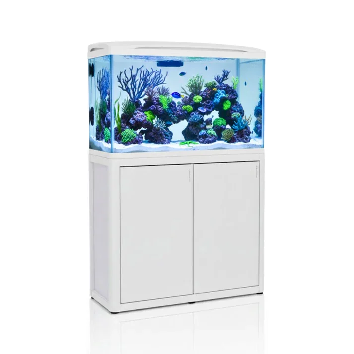 Aquatees RIVO Tanks display quality fish tank supplies for a healthy aquarium.