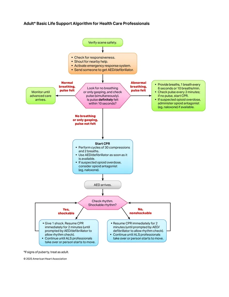 AHA Adult BLS Algorithm for BLS certification classes