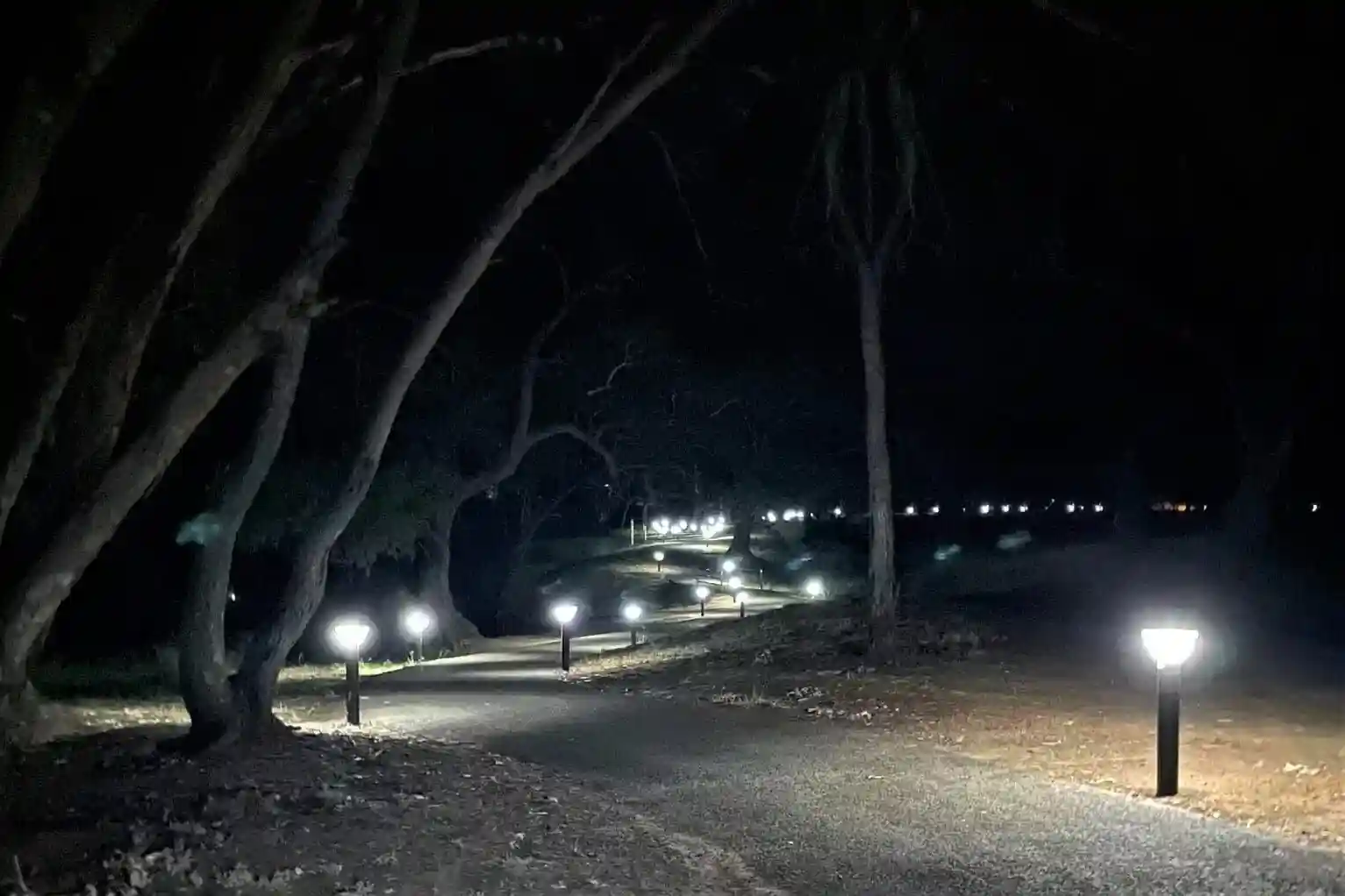 Different solar light styles, including bollards and post-top lights, in a park setting. - Solar Pathway Lighting Different solar light styles, including bollards and post-top lights, in a park setting. - Solar Pathway Lighting
