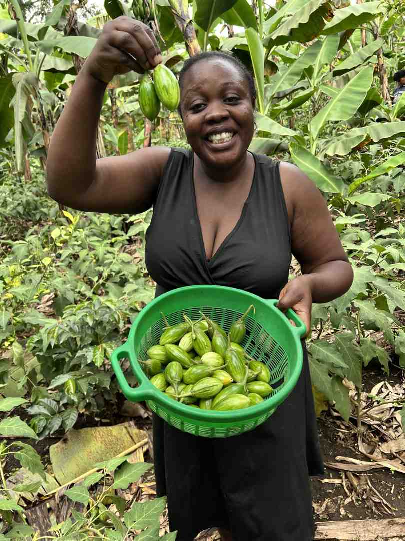 women participating in financial literacy training - importance of women in food security women participating in financial literacy training - importance of women in food security