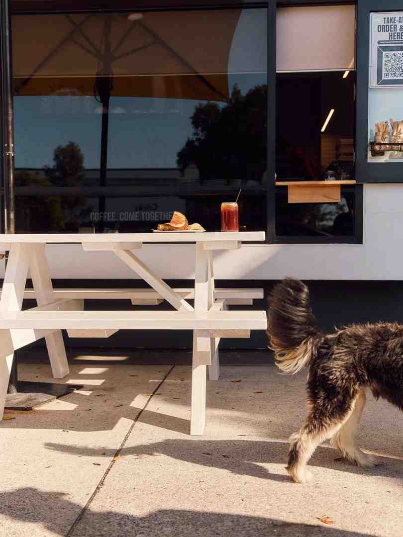 user-inserted Dog enjoying pet friendly outdoor dining at a Sunshine Coast cafe.