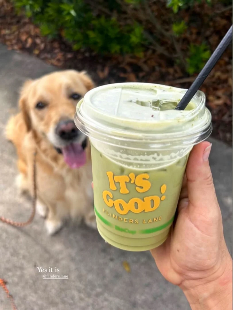 Pet-friendly patio dining with fresh coffee