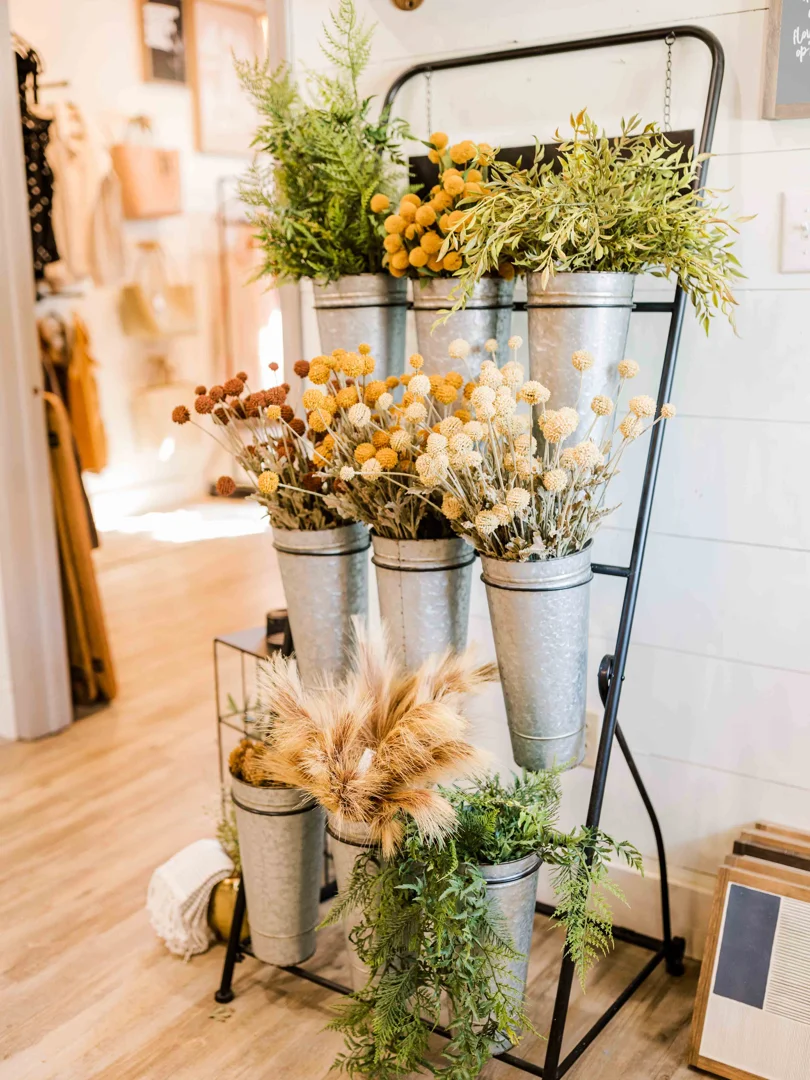 Fernbank Bush | 3 Colors Fernbank Bush | 3 Colors