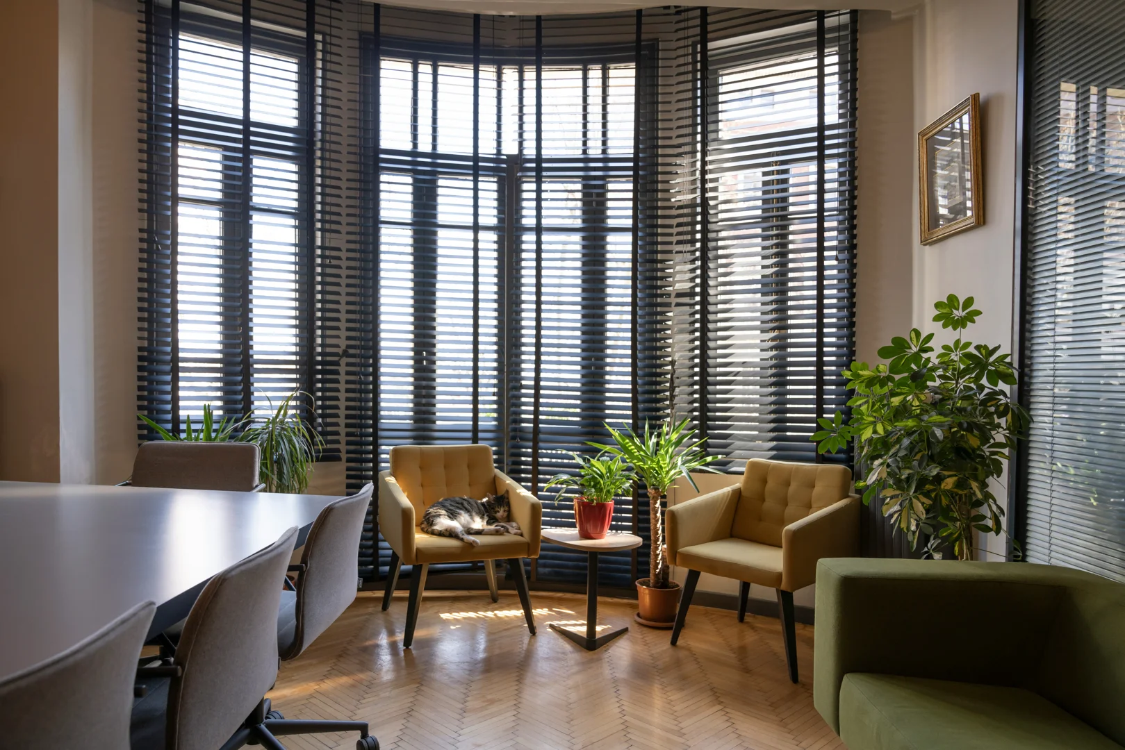 A welcoming, calm therapy office interior - marriage counseling for gay couples A welcoming, calm therapy office interior - marriage counseling for gay couples