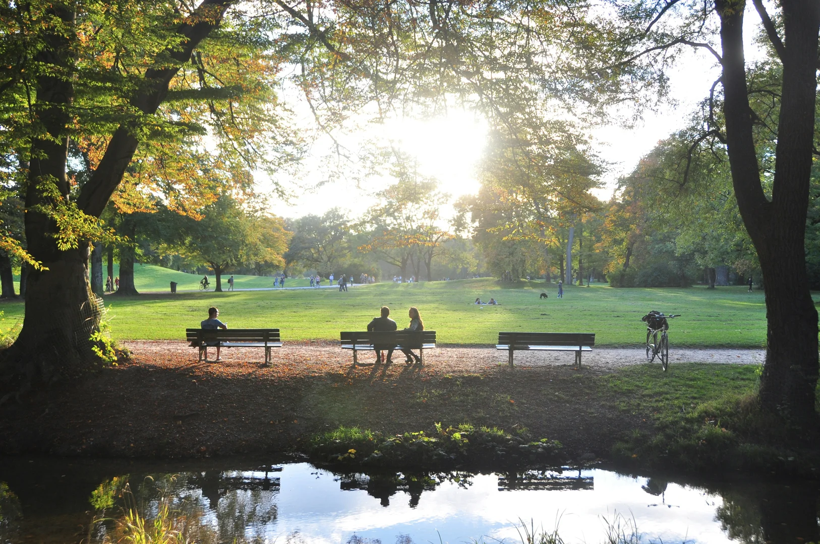 peaceful outdoor park in Valencia with lush green trees and benches peaceful outdoor park in Valencia with lush green trees and benches