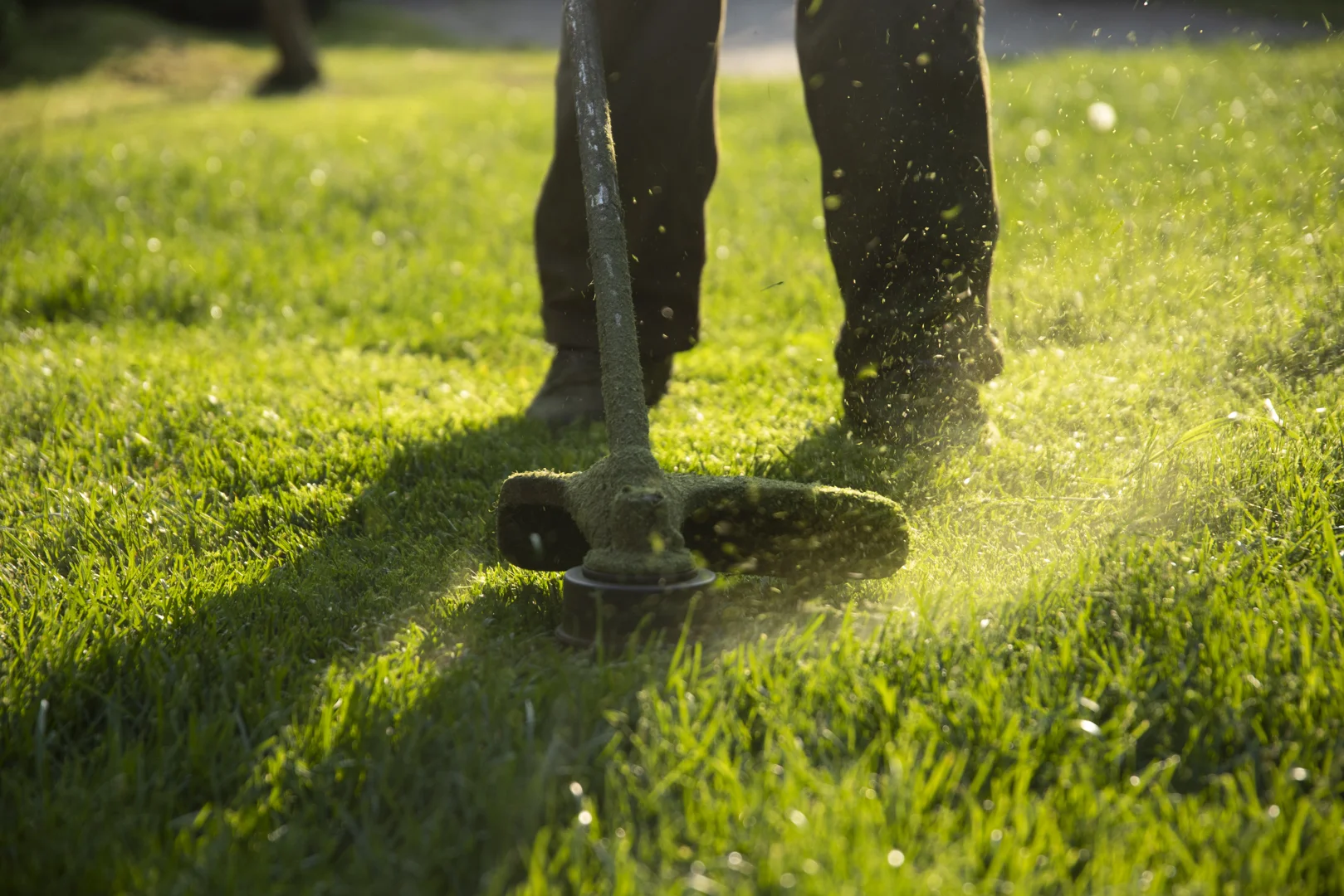 professional lawn edging creating a clean line between the grass and a concrete sidewalk - lawn care service land o lakes fl professional lawn edging creating a clean line between the grass and a concrete sidewalk - lawn care service land o lakes fl