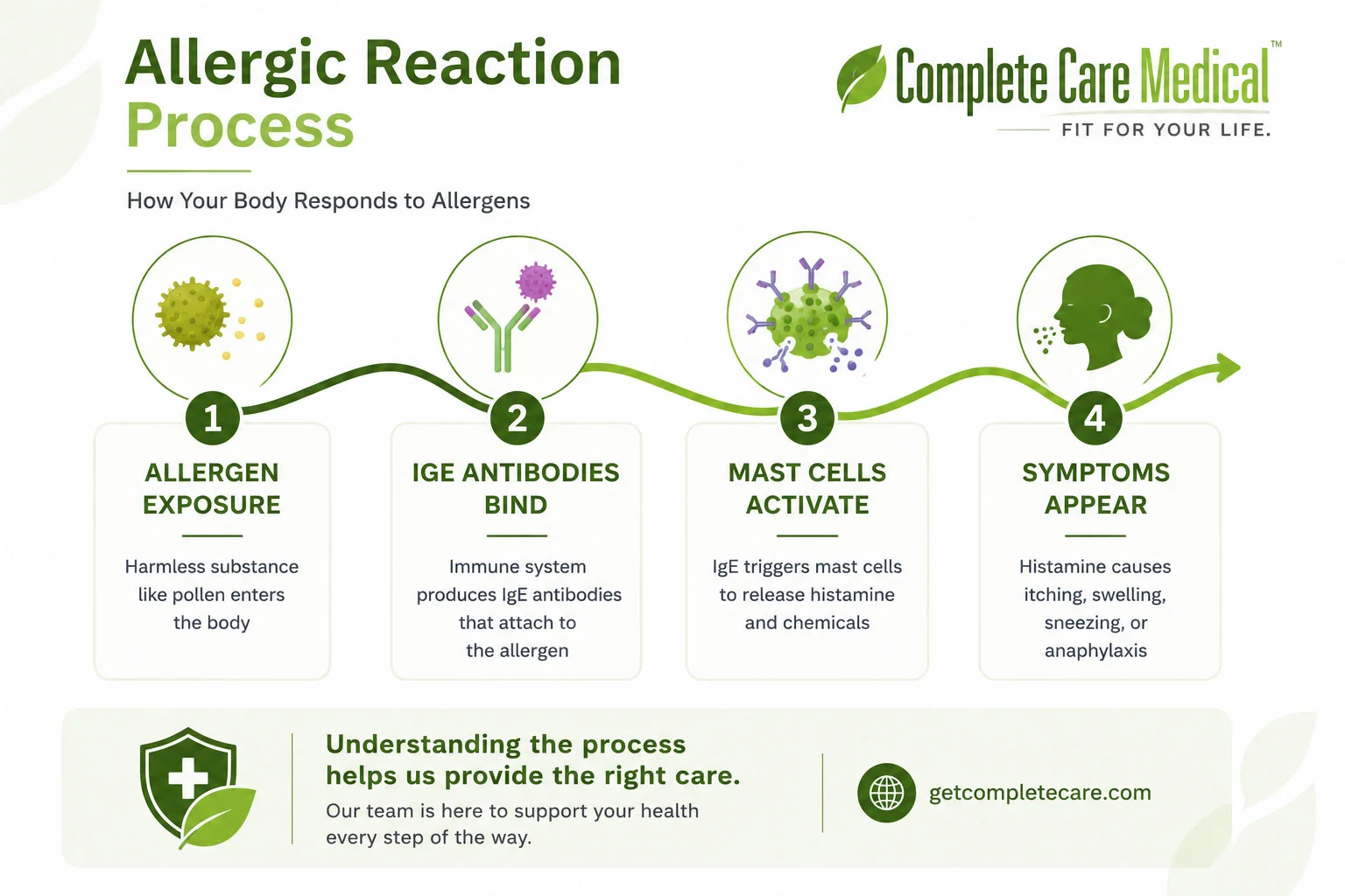 Infographic showing the biological mechanism of an allergic reaction from allergen exposure to IgE antibody production and Infographic showing the biological mechanism of an allergic reaction from allergen exposure to IgE antibody production and