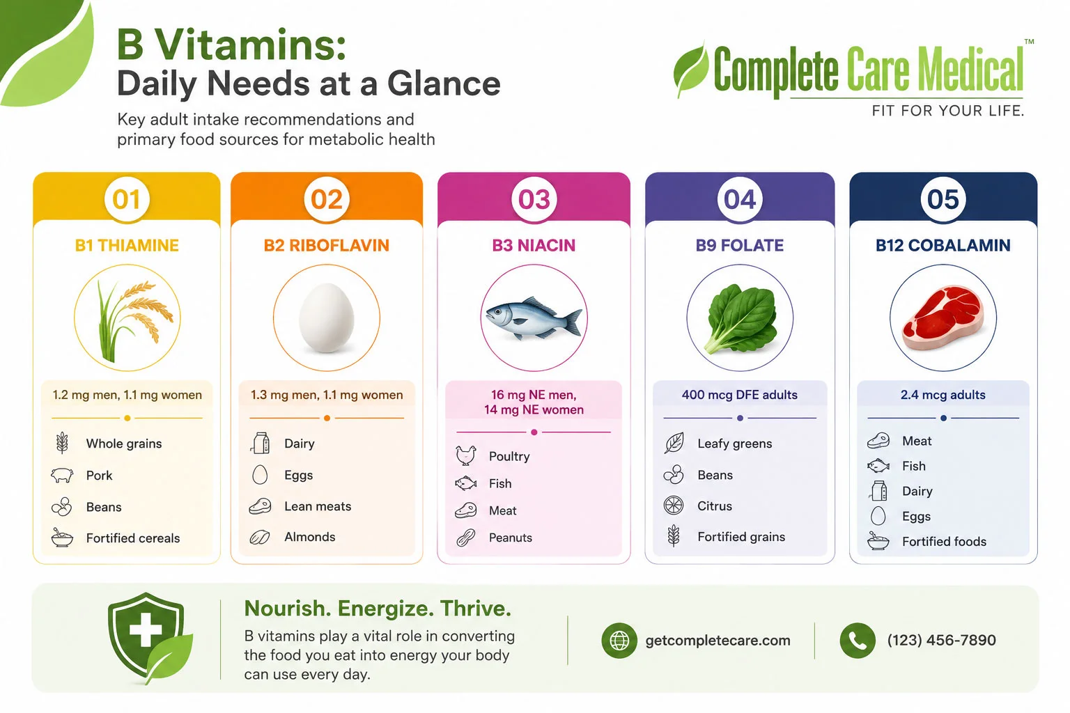 adult b vitamin intake and food sources chart infographic