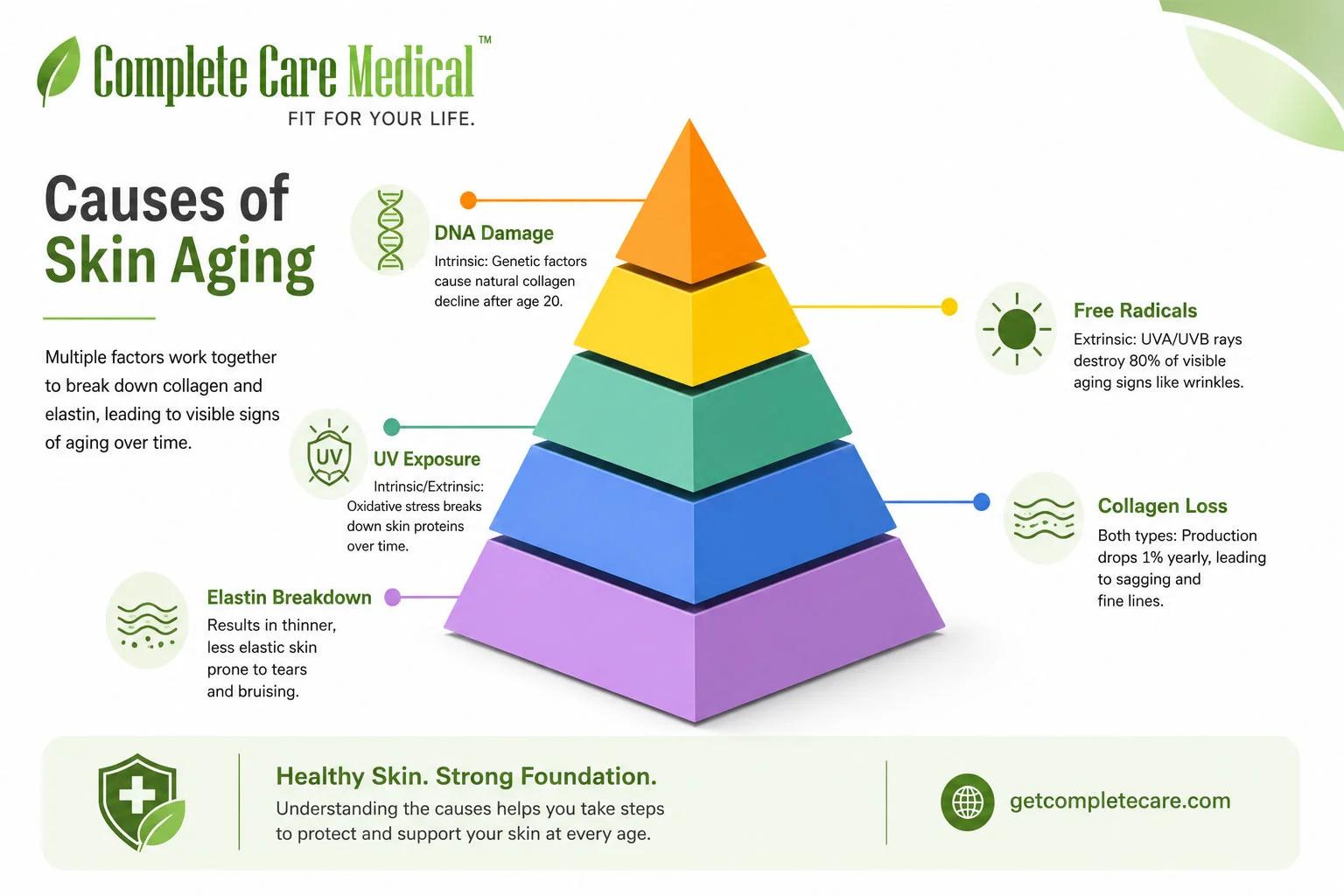 Infographic showing biological causes of skin aging collagen elastin loss intrinsic vs extrinsic - skin care for aging Infographic showing biological causes of skin aging collagen elastin loss intrinsic vs extrinsic - skin care for aging