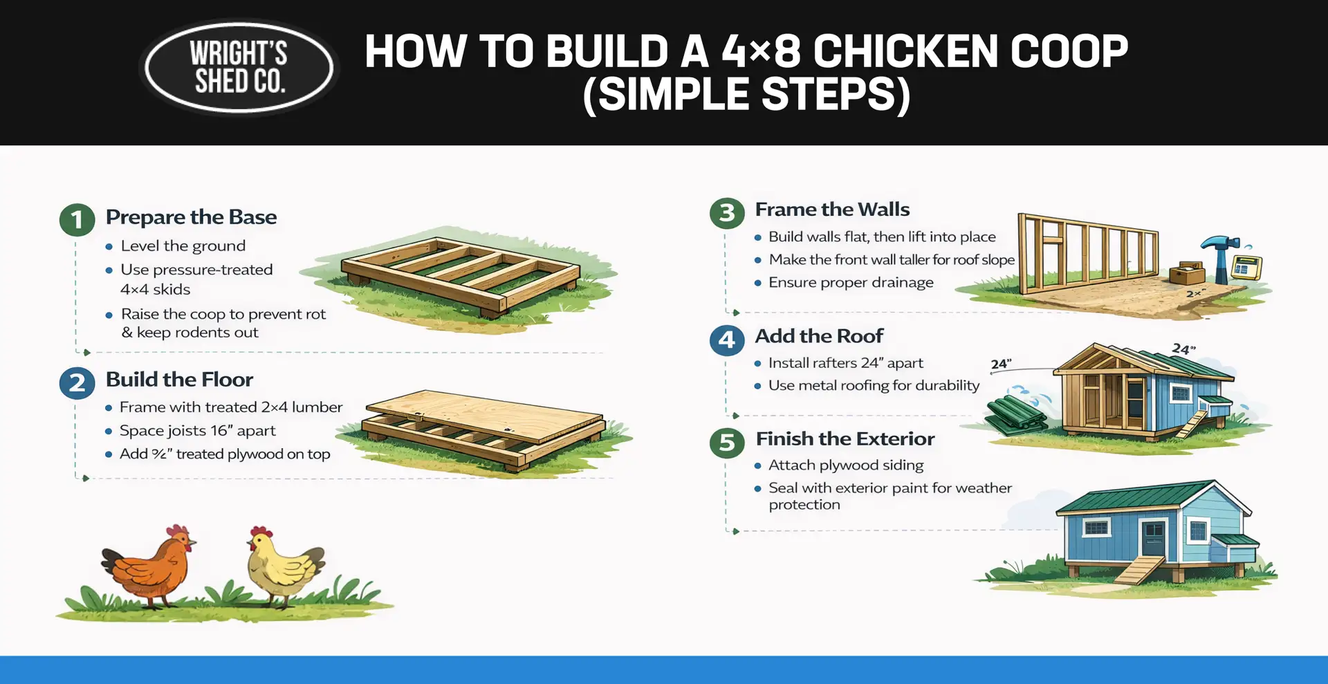 Step by step infographic showing how to build a 4x8 chicken coop including base prep, framing, roofing, and exterior finishing.