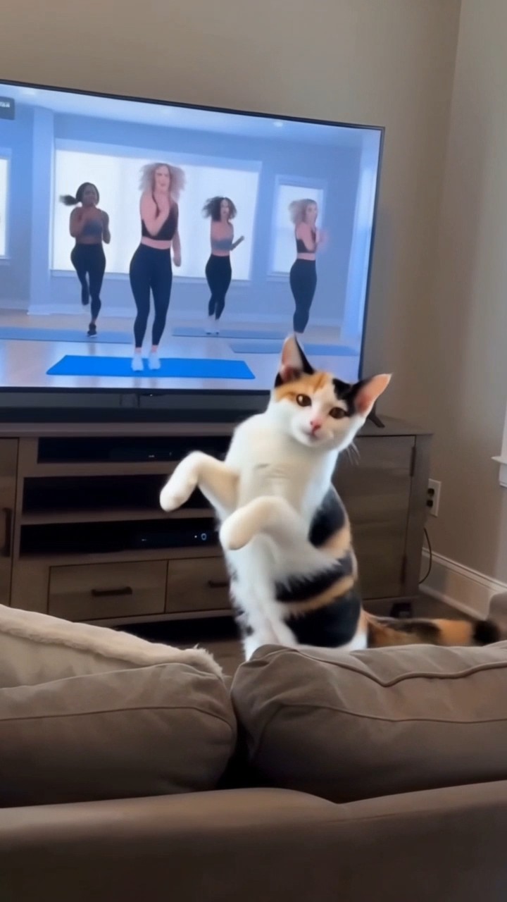 Pet Workout — AI video template
