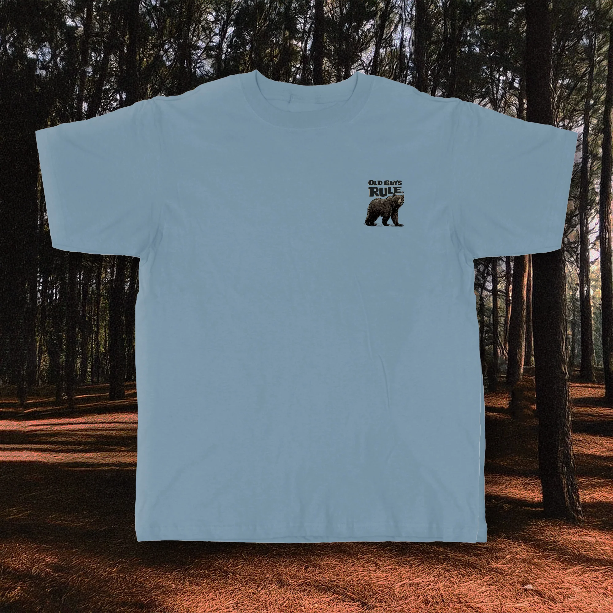 THE BEAR 2