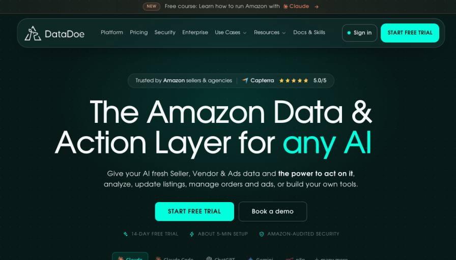DataDoe AI Agent
