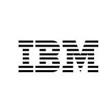 IBM watsonx Orchestrate Small Logo