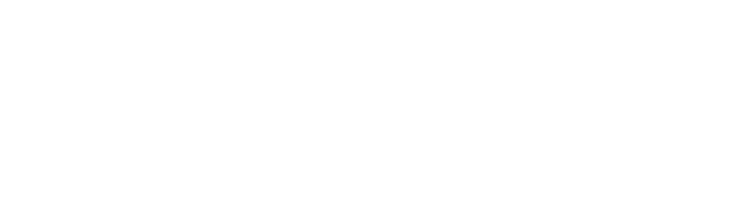 All Options Logo