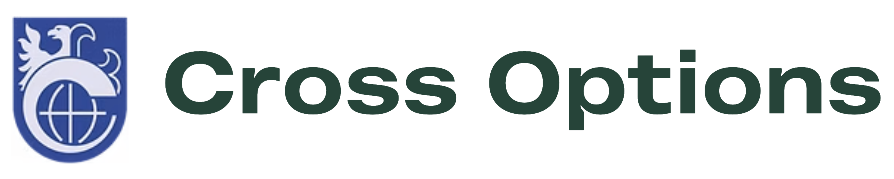 Cross Options Logo