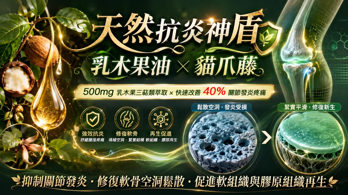 金固強專利UC-II乳木果軟膠囊