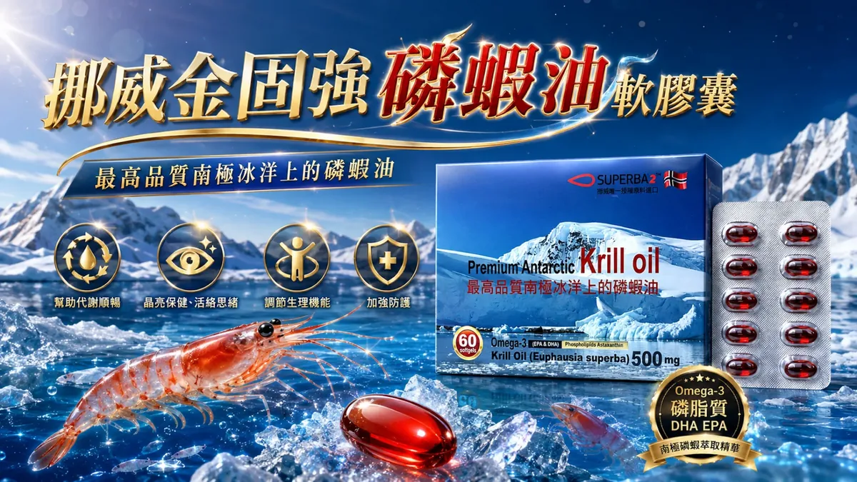 單張產品DM
