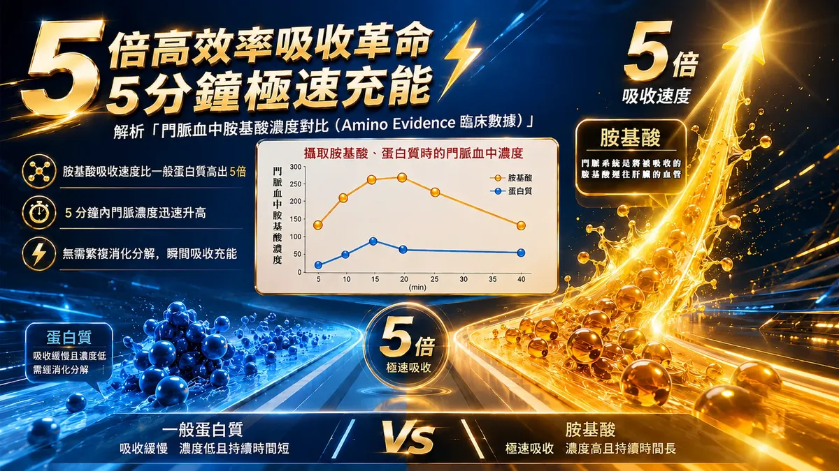 安瑞利 綜合胺基酸濃縮補精