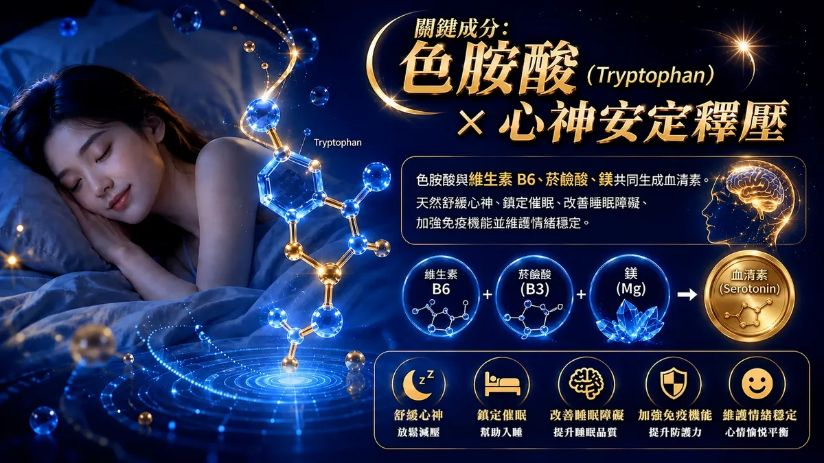 安瑞利 綜合胺基酸濃縮補精