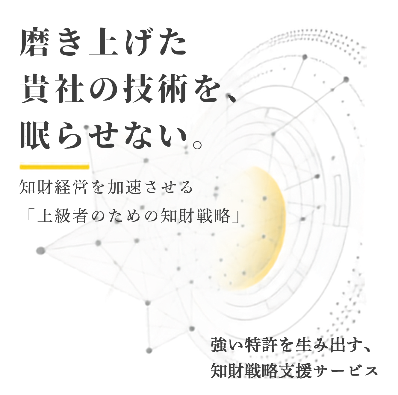 知財戦略支援サービス