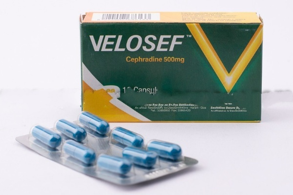 فيلوسيف 500 مجم 16 كبسولة