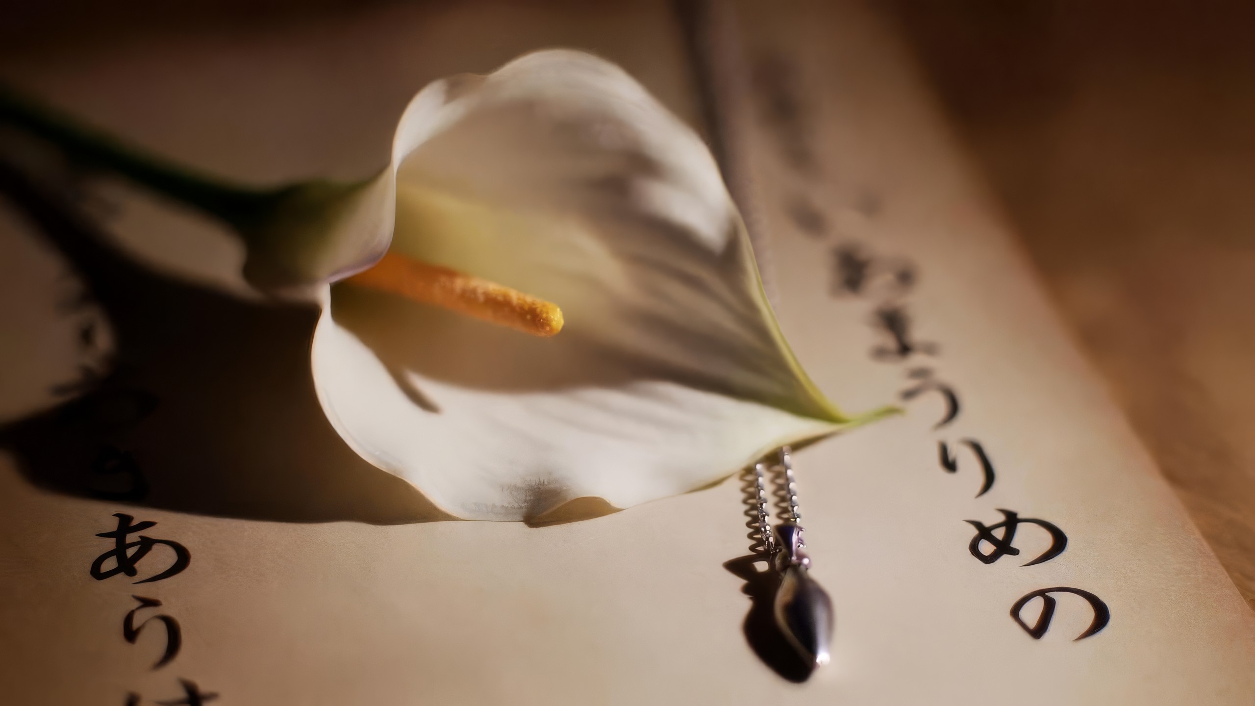 칼라 릴리 (Calla Lily, カラーリリー)-JPN.ver
