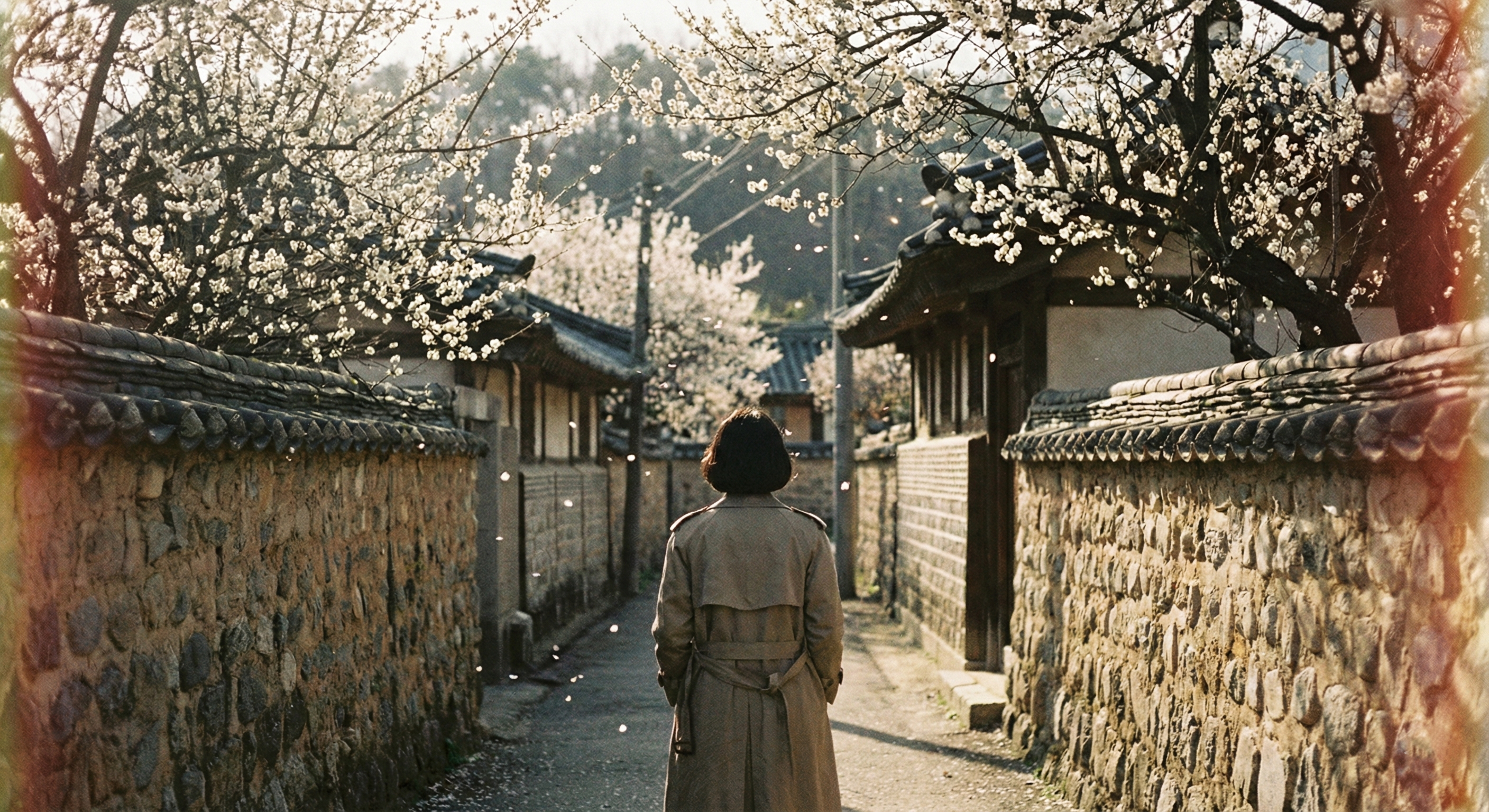 다시 매화꽃 필때