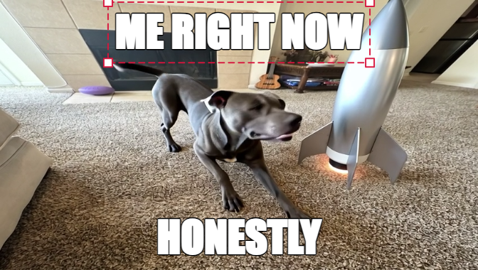 ME RIGHT NOW | HONESTLY meme