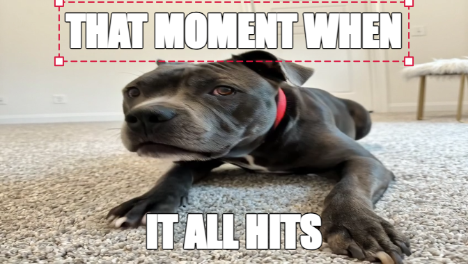 THAT MOMENT WHEN | IT ALL HITS meme
