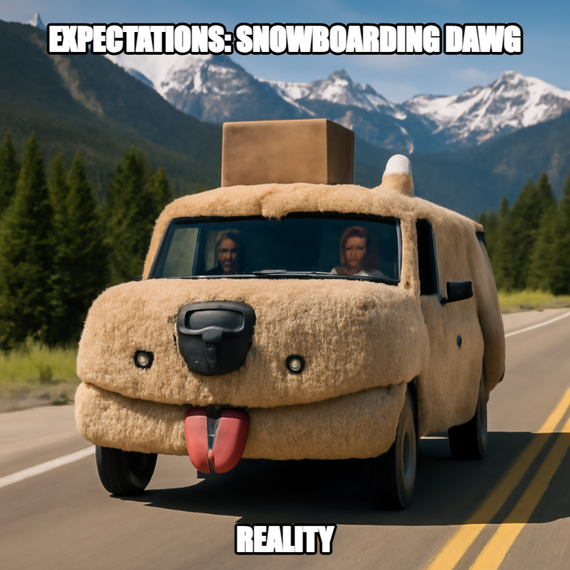 Expectations: Snowboarding Dawg meme