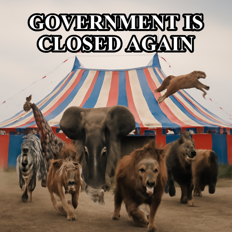 Government Is Closed Again meme