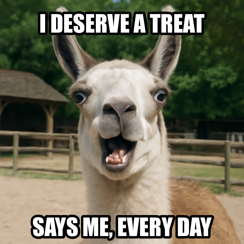 I Deserve A Treat / Says Me Every Day meme