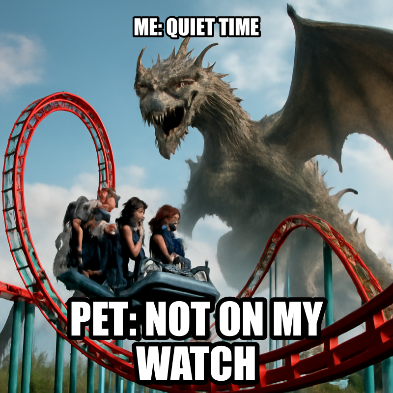 Me: Quiet Time / Pet: Not On My Watch meme