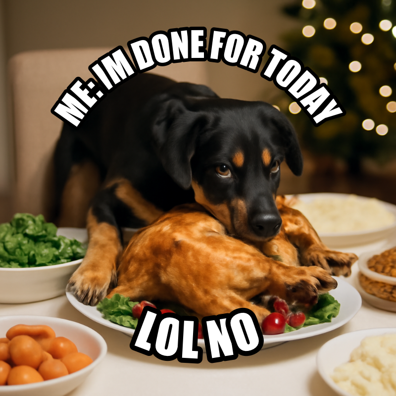 Me: Im Done For Today / Lol No meme