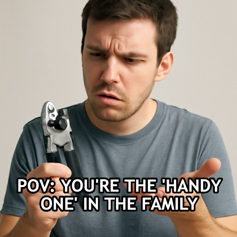 Pov: You're The 'handy One' In The Family meme