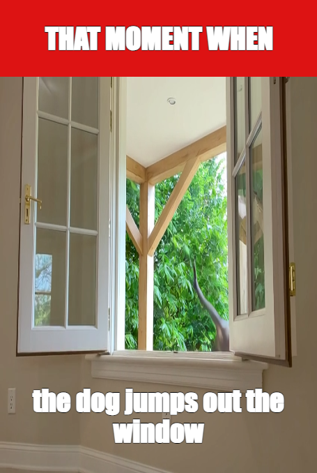 THAT MOMENT WHEN | the dog jumps out the window meme