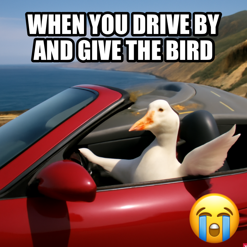 When You Drive By And Give The Bird meme