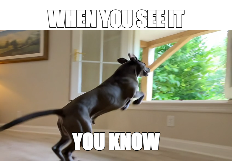 WHEN YOU SEE IT | YOU KNOW meme