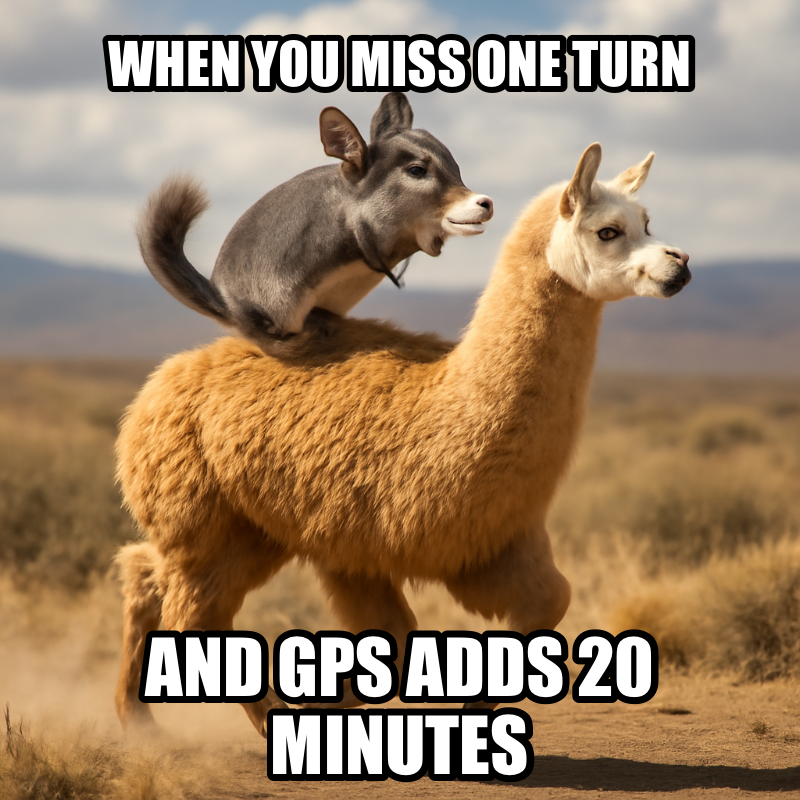 When You Miss One Turn / And Gps Adds 20 Minutes meme